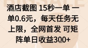 酒店截图15秒一单，一单0.6米，每天任务无上限，全网首发可矩阵单日收益3张【揭秘】-沐风资源库