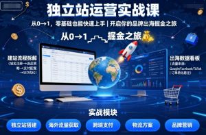 独立站运营实战课，​从0到1，零基础也能快速上手，开启你的品牌出海掘金之旅-沐风资源库