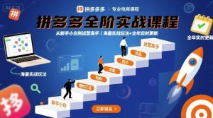 拼多多全阶实战课程，从新手小白到运营高手，海量实战玩法+全年实时更新【2025年9月更新】-沐风资源库