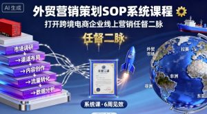 外贸营销策划SOP系统课程，打开跨境电商企业线上营销任督二脉-沐风资源库