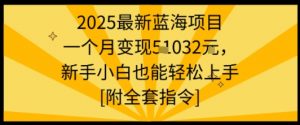 2025最新蓝海项目一个月变现1w+新手小白也能轻松上手【附全套指令】-沐风资源库