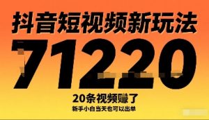 抖音短视频新玩法，20条视频挣了1w+，新手小白当天也可以出单-沐风资源库
