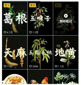 抖音中草药赛道，用AI做中草药故事视频，45条作品涨粉13W，橱窗带货猛猛出单-沐风资源库