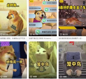 狗头幸运星UE5动画全套课程，从入门到实操全掌握-沐风资源库