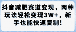 抖音减肥赛道变现，两种玩法轻松变现3W+，新手也能快速复制-沐风资源库