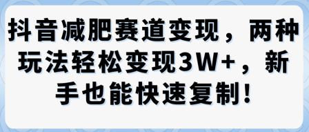 抖音减肥赛道变现，两种玩法轻松变现3W+，新手也能快速复制-沐风资源库