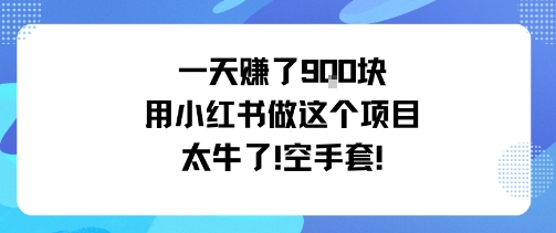 一天挣了9张用小红书做这个项目太牛了，空手套-沐风资源库
