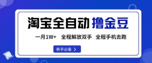 淘宝菜鸟全自动撸金豆，轻松月入1W+，全程手机去跑，操作简单【揭秘】-沐风资源库
