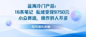 蓝海项目：16条笔记私域变现9750米小众赛道操作的人不多-沐风资源库