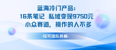 蓝海项目：16条笔记私域变现9750米小众赛道操作的人不多-沐风资源库