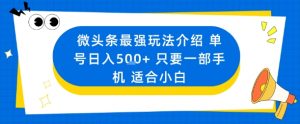 微头条最强玩法介绍一个号日入5张+只要一部手机适合小白-沐风资源库