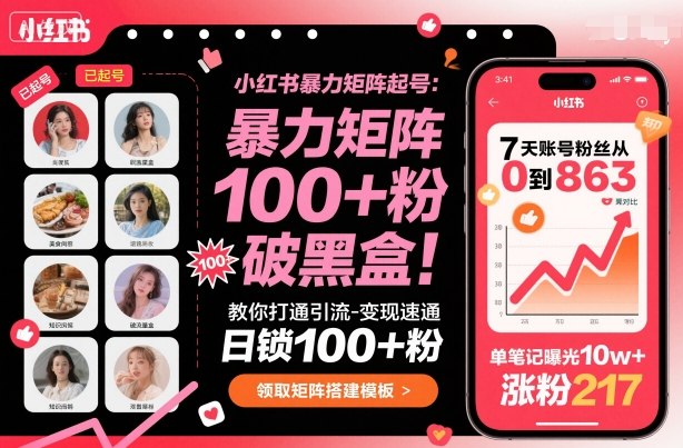小红书暴力矩阵起号，教你打通引流-变现速通，日锁100+粉，破流量黑盒-沐风资源库