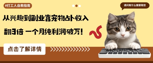 从兴趣到副业靠宠物占卜收入翻3倍一个月纯利润破W-沐风资源库