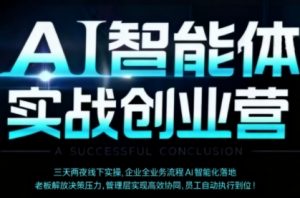 AI智能体实体战创业营（深圳9月23-25日），多维度助力老板、管理层、员工提升效能-沐风资源库