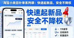 淘宝小类目补单系列课，快速起新品，安全不降权-沐风资源库