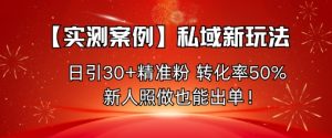 【实测案例】私域新玩法，日引30+精准粉，转化率50%，新人照做也能出单！-沐风资源库