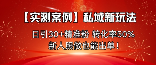 【实测案例】私域新玩法，日引30+精准粉，转化率50%，新人照做也能出单！-沐风资源库