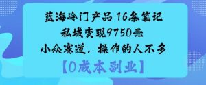 蓝海冷门产品：16条笔记私域变现9750米小众赛道，操作的人不多-沐风资源库