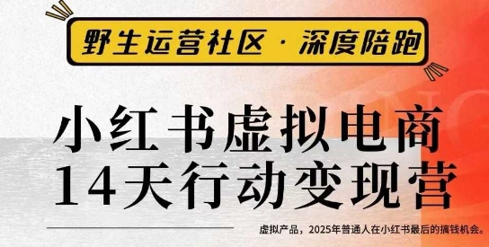 小红书虚拟电商14天变现训练营3.0，​虚拟产品，2025年普通人在小红书最后的搞钱机会-沐风资源库