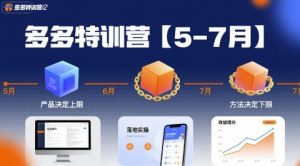 多多特训营,产品决定上限,方法决定下限,各种玩法技巧落地实操(更新)-沐风资源库