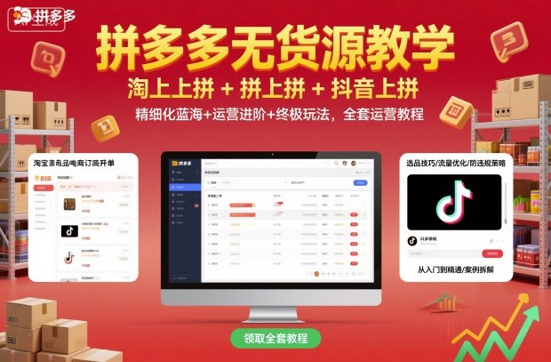拼多多无货源教学,淘上拼+拼上拼+抖上拼,精细化蓝海+运营进阶+终极玩法,全套运营教程-沐风资源库