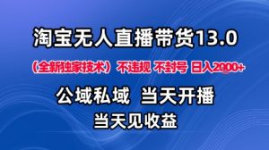 淘宝无人直播13.0，公域私域技术，不封号，不违规布局下半年旺季赛道，日入1K+（独家技术）【揭秘】-沐风资源库