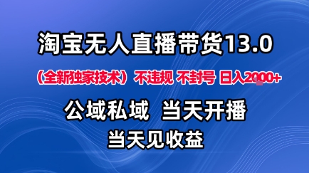 淘宝无人直播13.0，公域私域技术，不封号，不违规布局下半年旺季赛道，日入1K+（独家技术）【揭秘】-沐风资源库