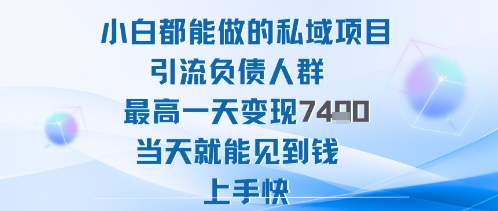 2025年小白都能做的私域项目引流负债人群最高一天变现1k+高变现难度低当天就能见到钱上手快-沐风资源库