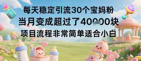 每天稳定引流30个宝妈粉当月变成超过了1W+项目流程非常简单适合小白-沐风资源库