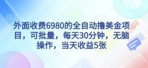 外面收费6980的全自动撸美刀项目，可批量，每天30分钟，无脑操作，当天收益5张【揭秘】-沐风资源库