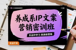 养成系IP文案营销密训班，实战中学习真高级营销-沐风资源库