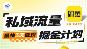 私域流量掘金计划实战训练营，最快3天变现-沐风资源库