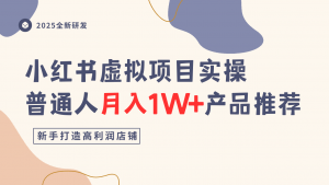 小红书虚拟项目实操指南，普通人月入1W+产品推荐，直接抄-沐风资源库