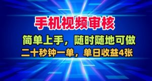 手机视频审核，随时随地可做，二十秒钟一单，单日收益4张+【揭秘】-沐风资源库