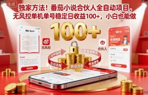 独家方法！番茄小说合伙人全自动挂G项目，无风控单机单号稳定日收益100+，小白也能做【揭秘】-沐风资源库