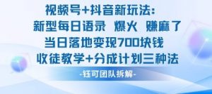 视频号加抖音新玩法：爆火新型每日语录，收徒教学加分成计划，三种变现玩法，当日变现7张-沐风资源库