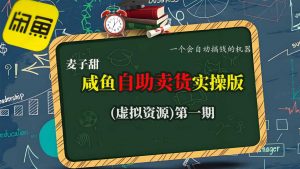 麦子甜咸鱼自助卖货实操版（虚拟资源）一个会自动搞钱的机器-沐风资源库