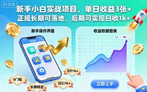 新手小白实战项目，单日收益3张+，正规长期可落地，后期可实现日收1k+【揭秘】-沐风资源库