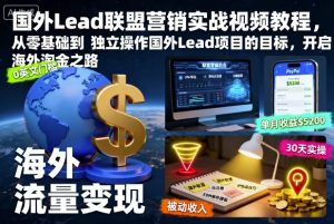 国外Lead联盟营销实战视频教程，从零基础到独立操作国外Lead项目的目标，开启海外淘金之路-沐风资源库