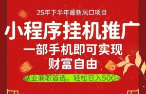 一部手机即可实现财富自由，微信小程序推广最新玩法教学，操作简单容易上手【揭秘】-沐风资源库
