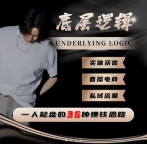 一个人起盘的底层逻辑，私域流量-直播电商-实体获客，一人起盘的36种賺钱思路-沐风资源库