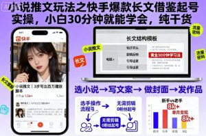 小说推文玩法之快手爆款长文借鉴起号实操，小白30分钟就能学会，纯干货-沐风资源库