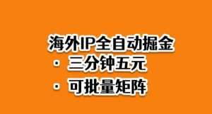 海外ip全自动掘金，2025必做蓝海项目，3分钟落地，矩阵直接开干【揭秘】-沐风资源库
