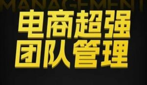 电商超强团队管理，组织绩效，到用人执行，分权合伙-沐风资源库