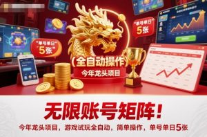 无限账号矩阵！今年龙头项目，游戏试玩全自动，简单操作，单号单日5张【揭秘】-沐风资源库