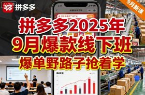 拼多多2025年9月爆款线下班，爆单野路子抢着学-沐风资源库