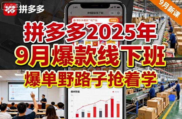 拼多多2025年9月爆款线下班，爆单野路子抢着学-沐风资源库