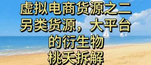 虚拟电商之二—另类的货源，大平台的衍生物-沐风资源库