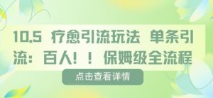 疗愈引流玩法，单条引流百人，保姆级全流程-沐风资源库