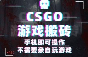 CSGO游戏挂G捡漏，单日扫货5张+，年底小高峰上车可吃肉，手机即可操作，兼职副业创业网创【揭秘】-沐风资源库